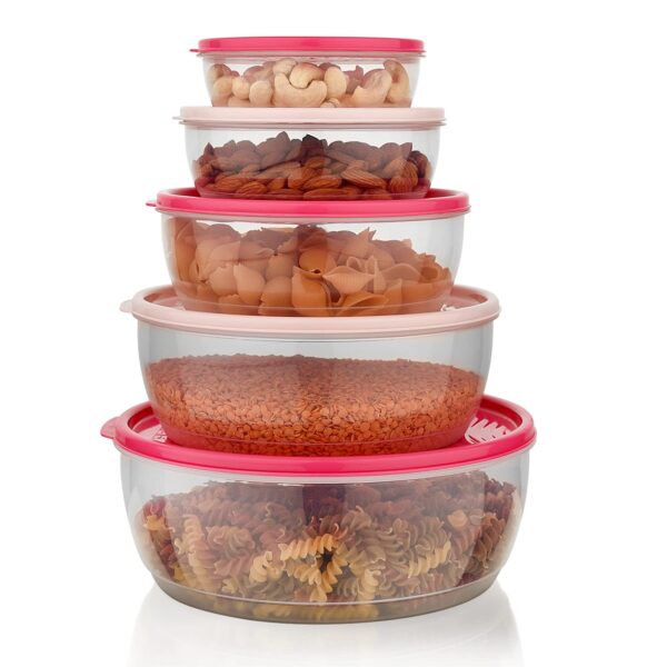 Asian Perfect Seal Container Set of 5 (300+600+1100+1900+3000 ml)