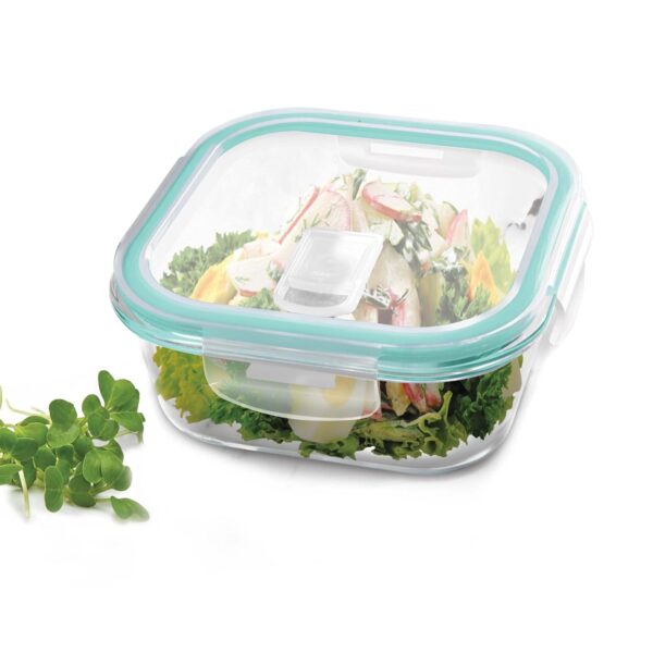 Treo by Milton Hi Borosilicate Clip Fresh Square Container, 320ml, 1 Piece