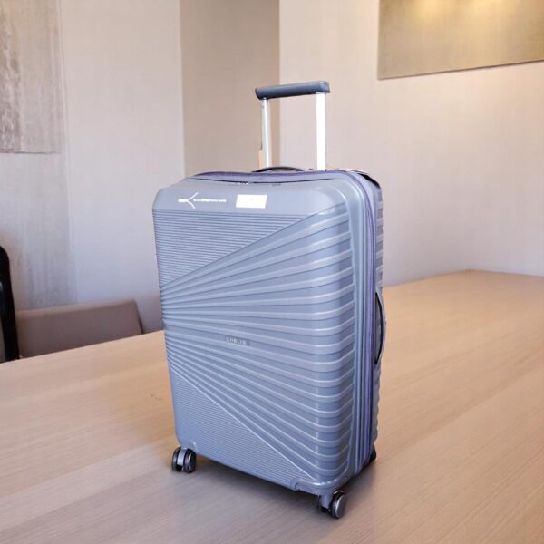 Goblin Iconic Hard Sided 20 Inch Trolley Bag