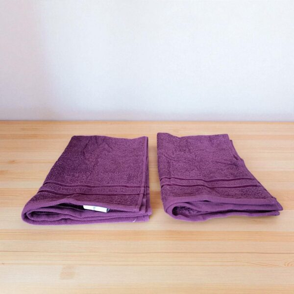 Home Elegance 2 Piece Hand Towel Set